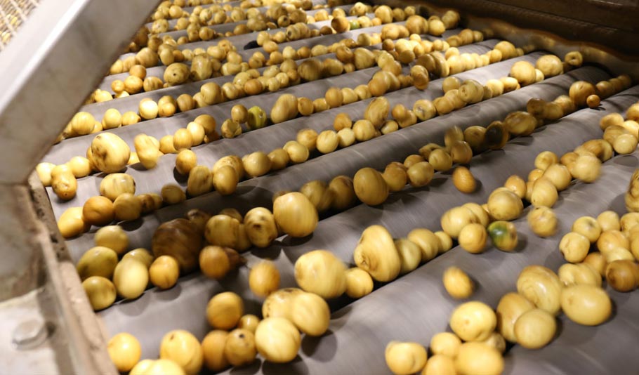 Aviko Rixona gebruikt Vlint producten met succes in het gehele proces